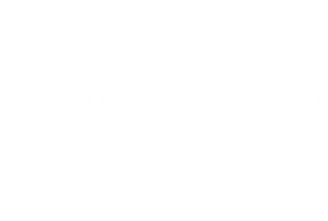 wiseup-sponsor